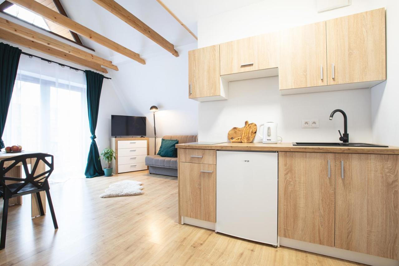 זקופאנה Apartamenty U Nosa מראה חיצוני תמונה